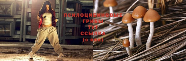 ГАЛЛЮЦИНОГЕННЫЕ ГРИБЫ Ахтубинск