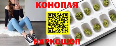 гидра Апрелевка
