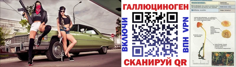 Псилоцибиновые грибы Cubensis  Белебей 