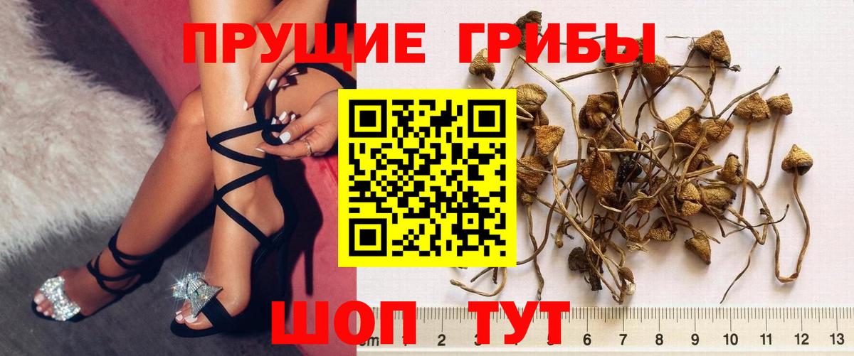 Галлюциногенные грибы GOLDEN TEACHER  Белебей 